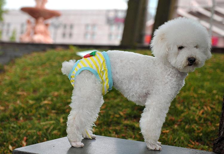 两只狗交配时，为什么会连在一起分不开？