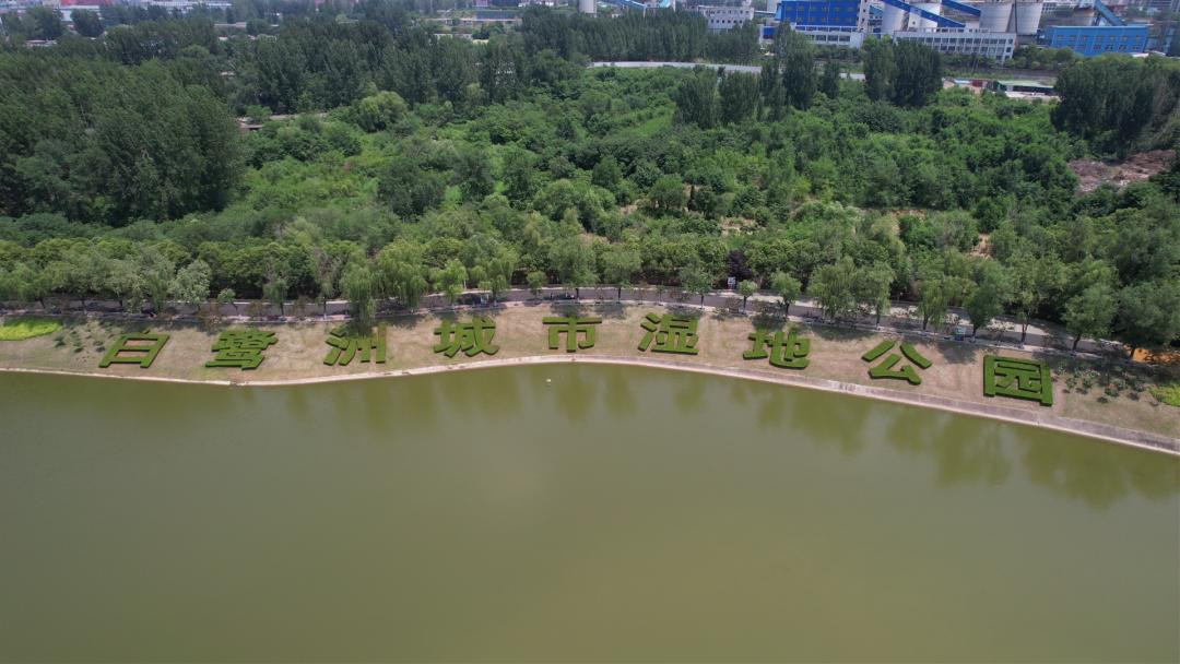 白鹭洲露营基地,白鹭湖免费露营营地