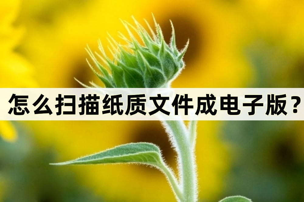 怎么扫描纸质文件成电子版免费,什么app能扫描纸质表格变成电子版