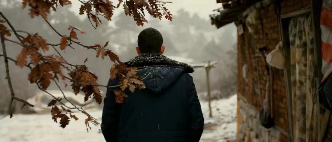 野梨树完整版免费观看,关于野梨树的电影