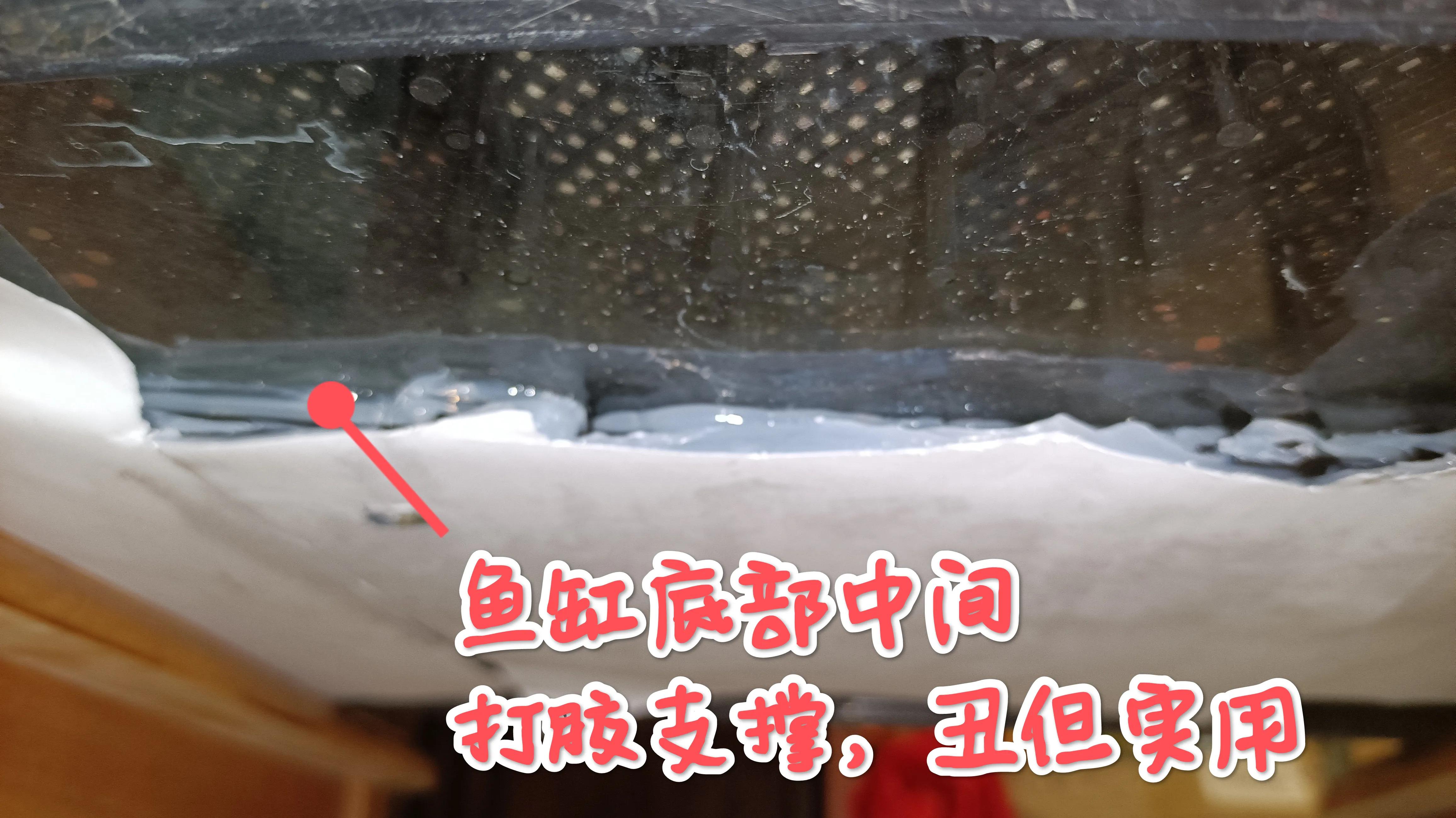 闽江溪流鱼缸,溪流缸自制鱼缸全部过程