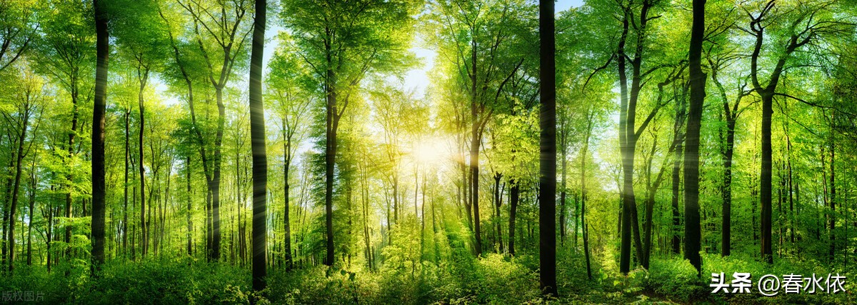 鼻子是歪的该怎么办,鼻子歪了矫正多少钱