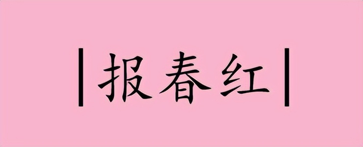 87版红楼梦绝美服饰,中国古典风色卡粉色系