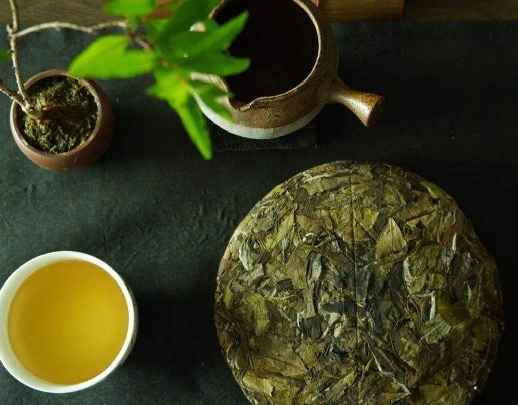 中秋节宠爸攻略，送上3款“孝心茶”，营养好喝，老爸心里定高兴