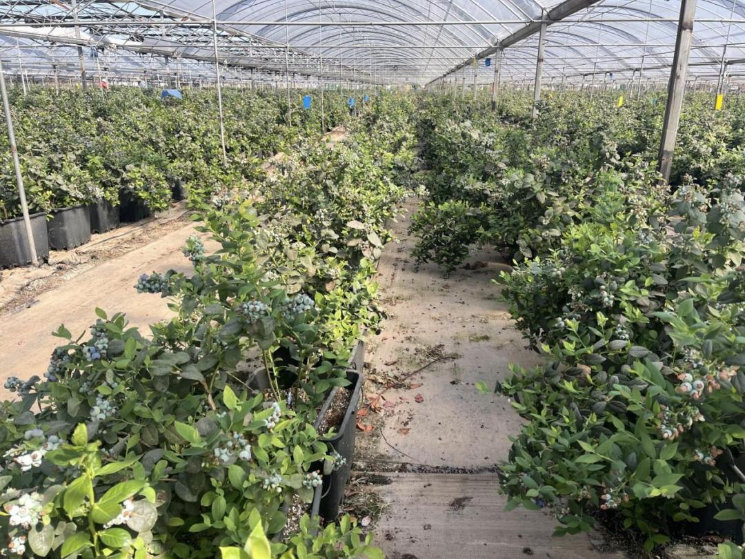 西昌五一旅游攻略学生,五一假期好去处推荐西昌