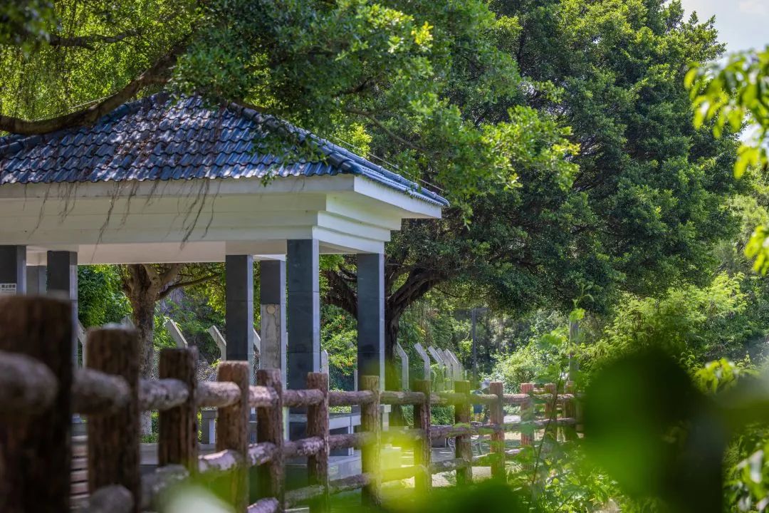 深圳梅林水库绿道线路图,深圳首条手作步道