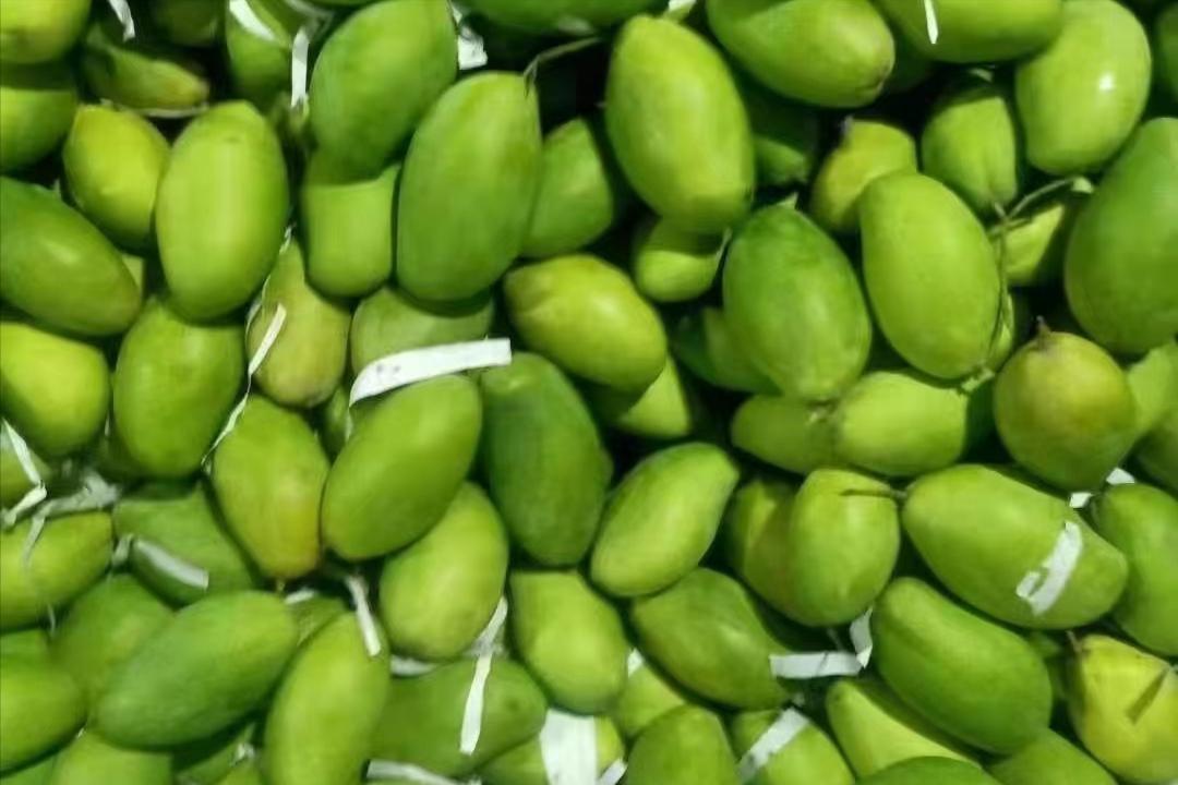 外国水果运到中国,澳洲水果出口中国