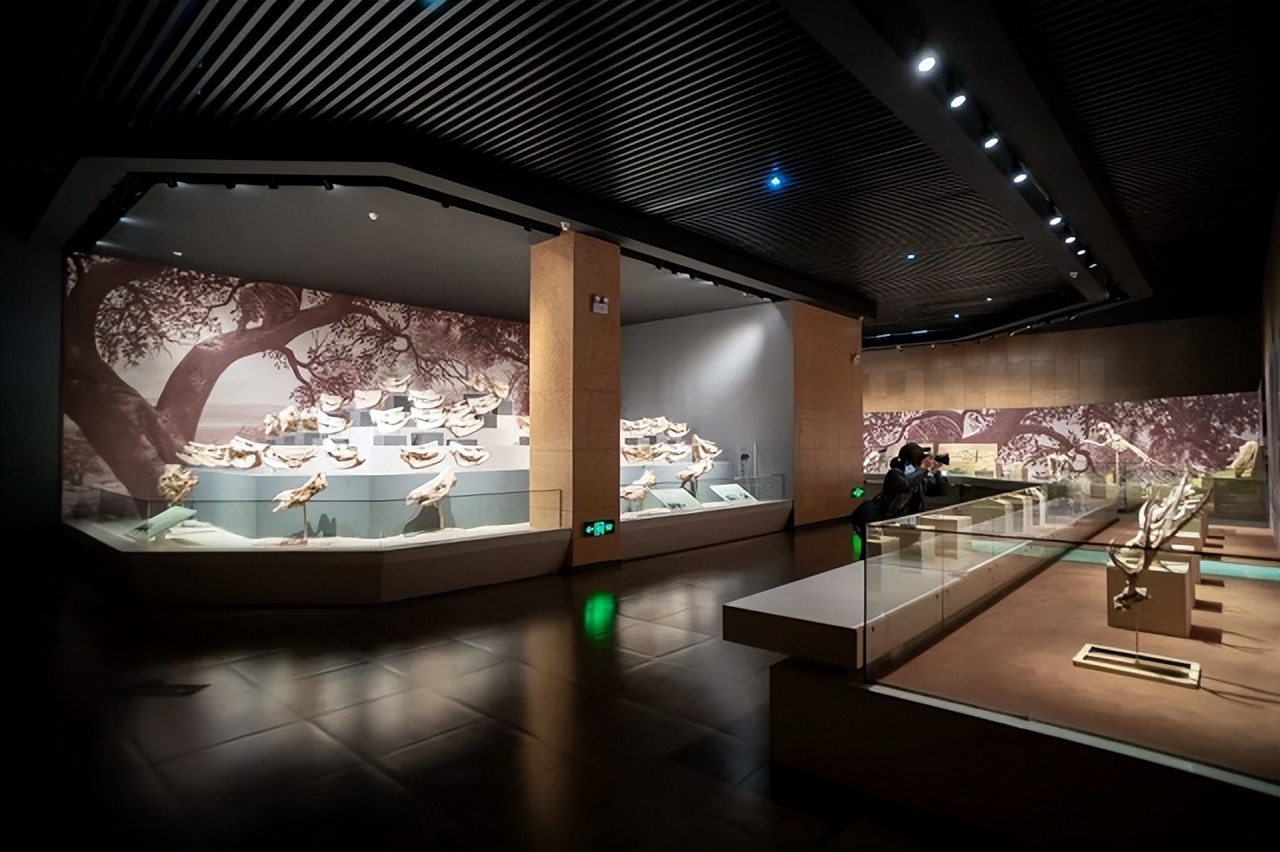 去临夏玩的攻略,临夏旅游线路推荐