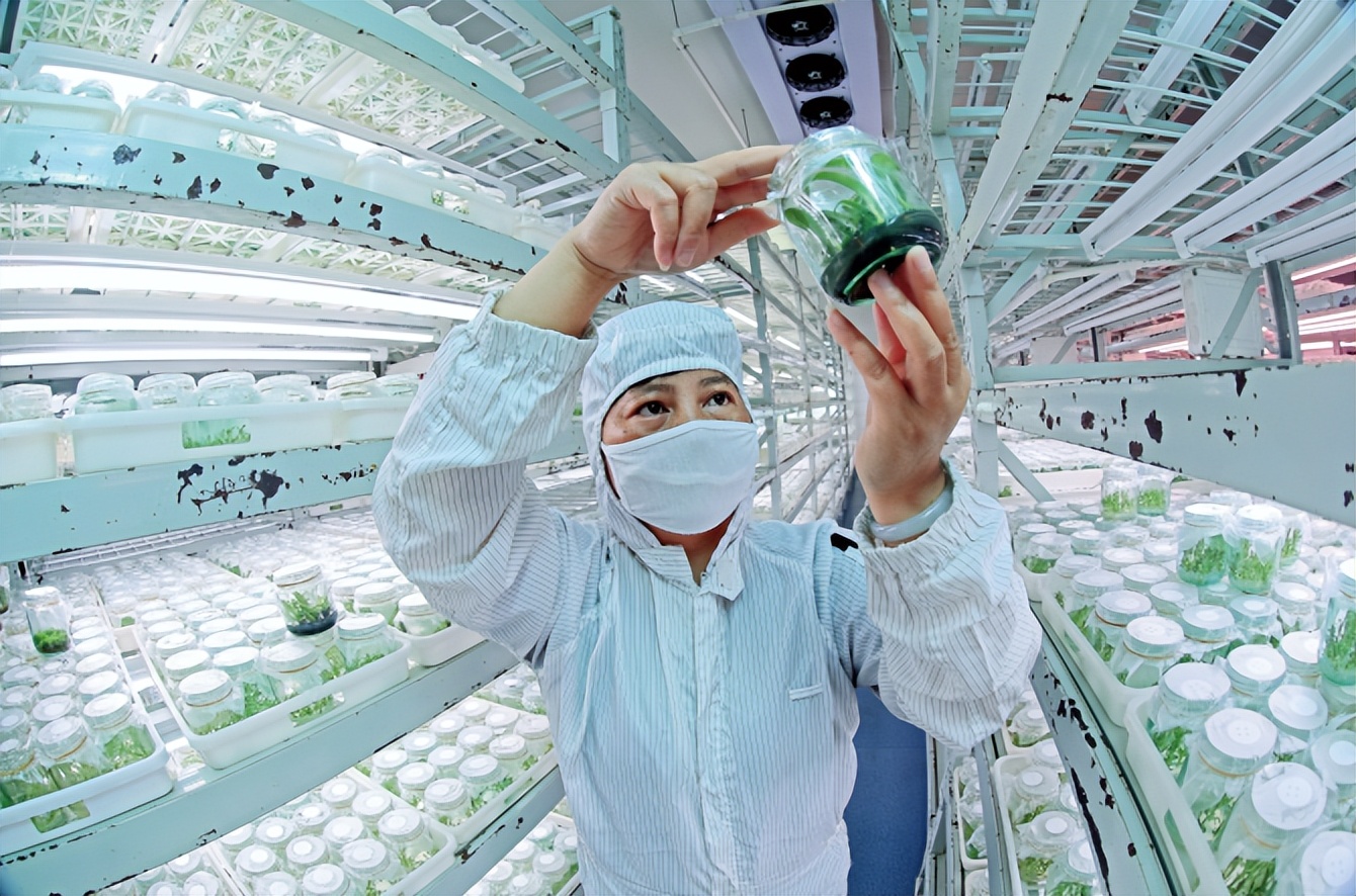 云南高质量跨越式发展,云南创新驱动