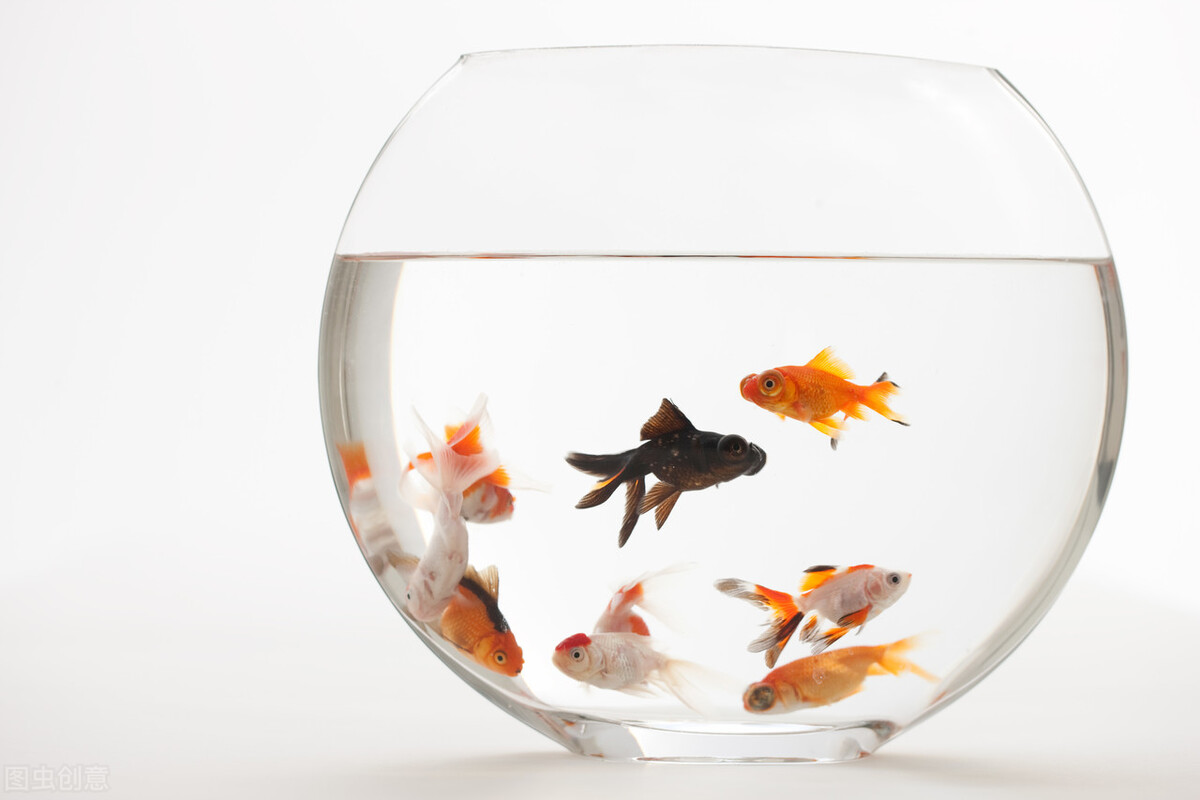 代理记账获客渠道,代理记账公司获客