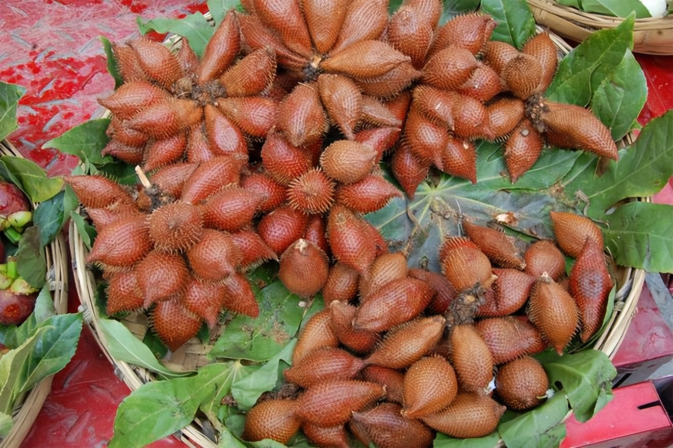 2023农村发展什么项目好,农村发展有潜力的项目有哪些