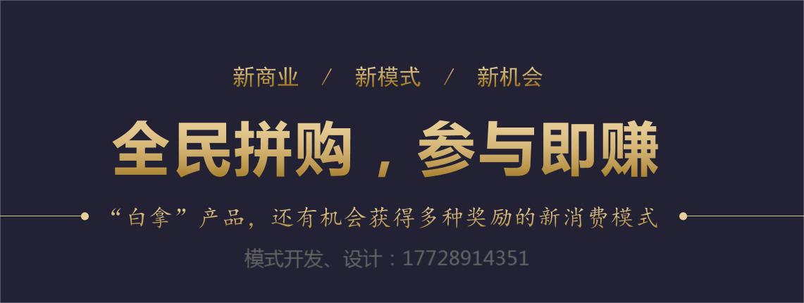 社交电商除了拼团还能做什么 (社交电商系统社区拼团店主模式)