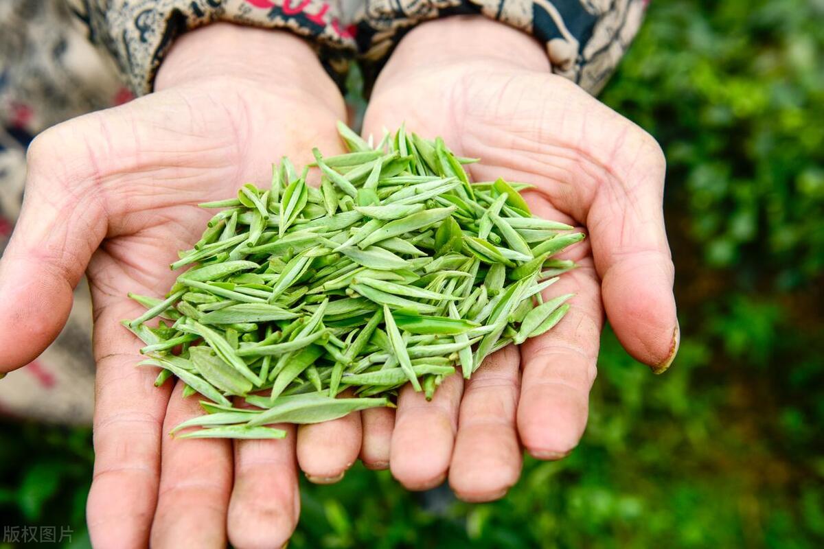 为什么网上茶叶这么便宜,为什么网购茶叶这么便宜