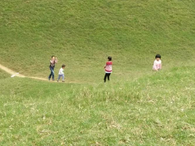 让孩子专注力好的游戏,锻炼孩子奔跑能力的游戏