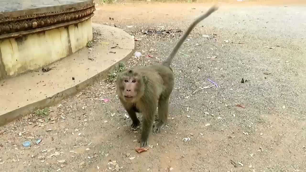 2013年,河北4岁男婴遭石头雨攻击,右手截肢奶奶怒骂:都是你害的
