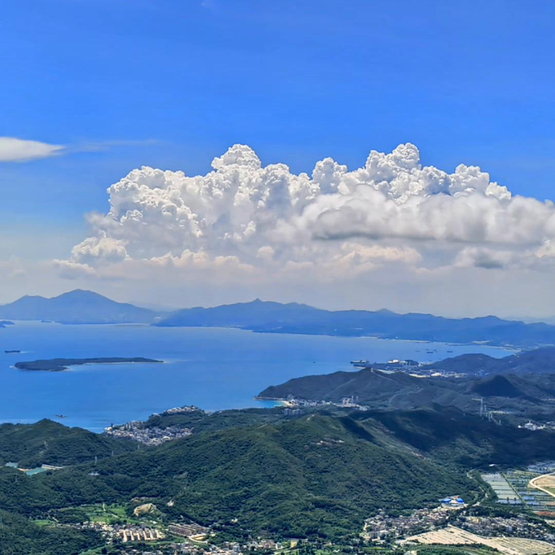 人生感悟情感扎心语录老人,人生感悟情感扎心语录直播