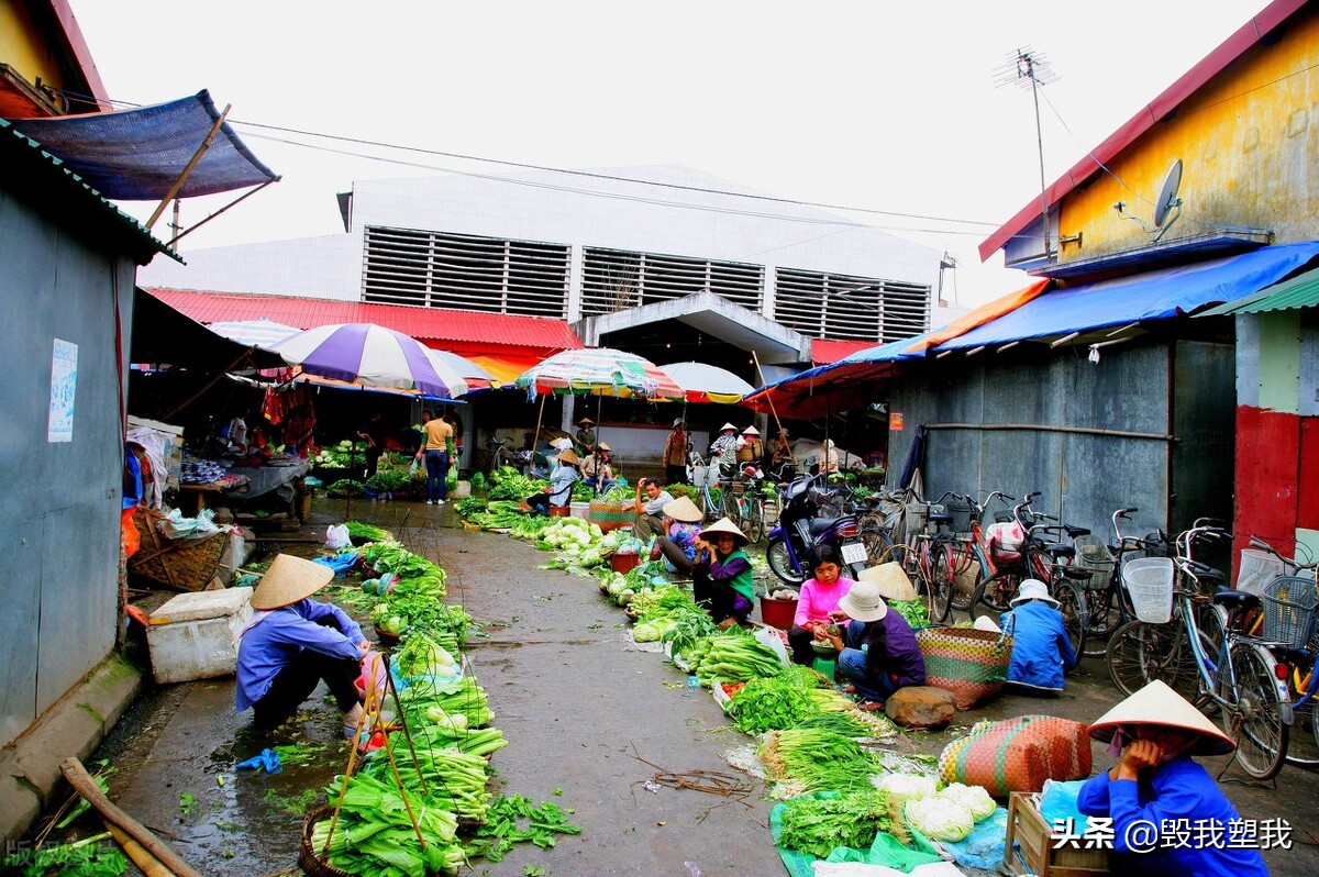 一次越南签证可以往返几次,一次去越南可以带多少美元