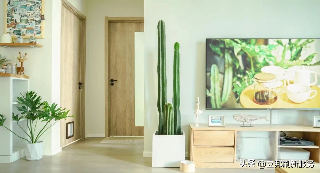 这些都是带有香味适合家养的绿植,适合放在家里的好养的绿植