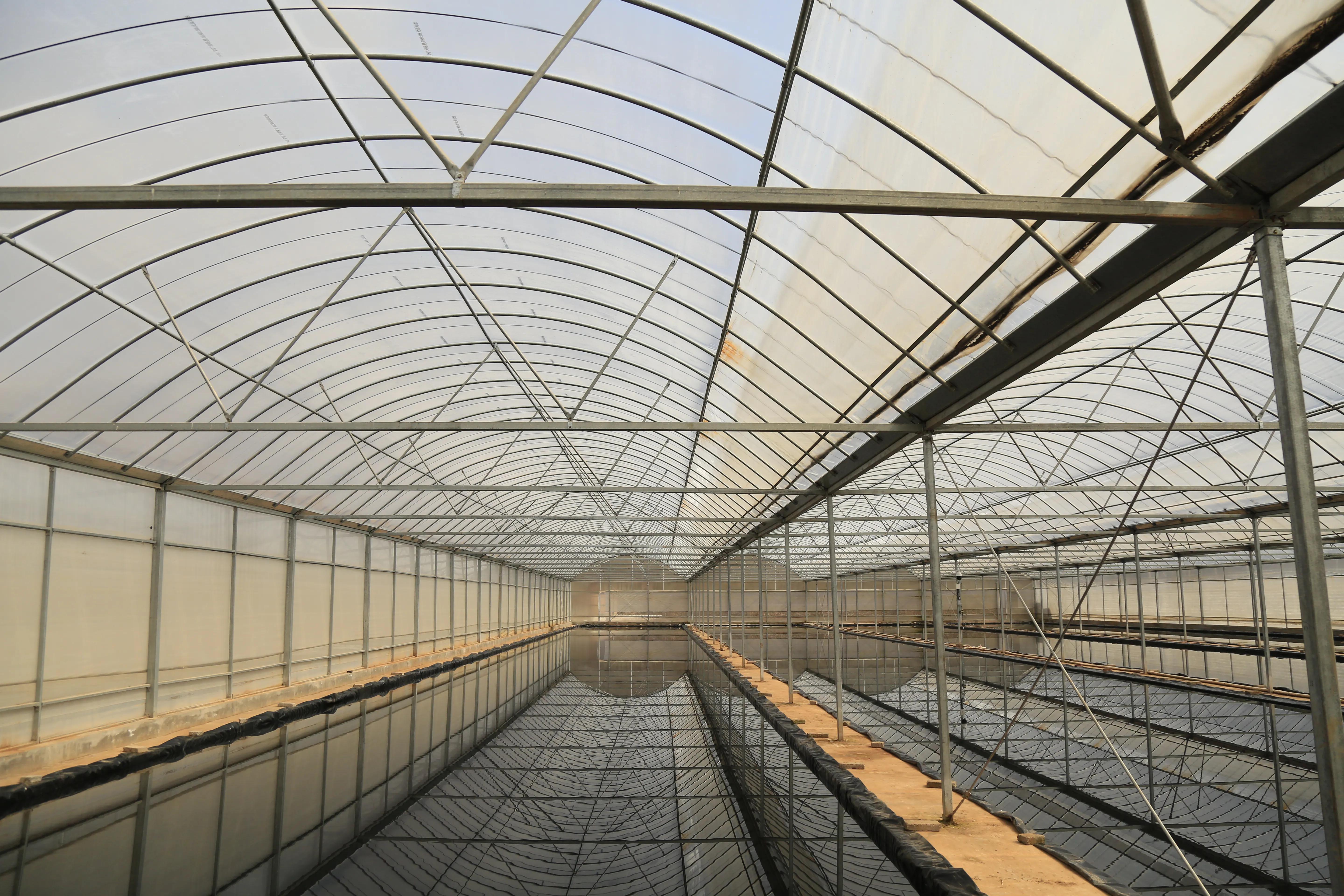 人勤春来早脱贫致富忙图片,人勤春来早增收致富