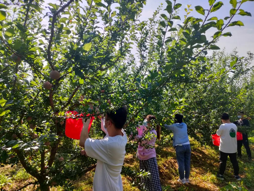 闇嶅皵鏋滄柉甯備紛杞﹀槑鍠勯敗浼埂,闇嶅皵鏋滄柉甯備紛杞﹀槑鍠勯敗浼皯鏃忎埂