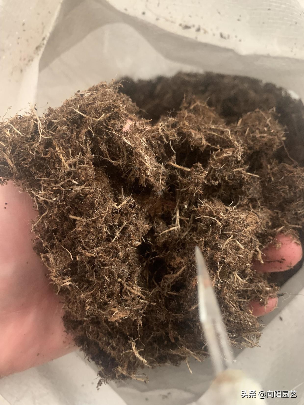 正品泥炭土是真的吗,网上买的土5斤有多少