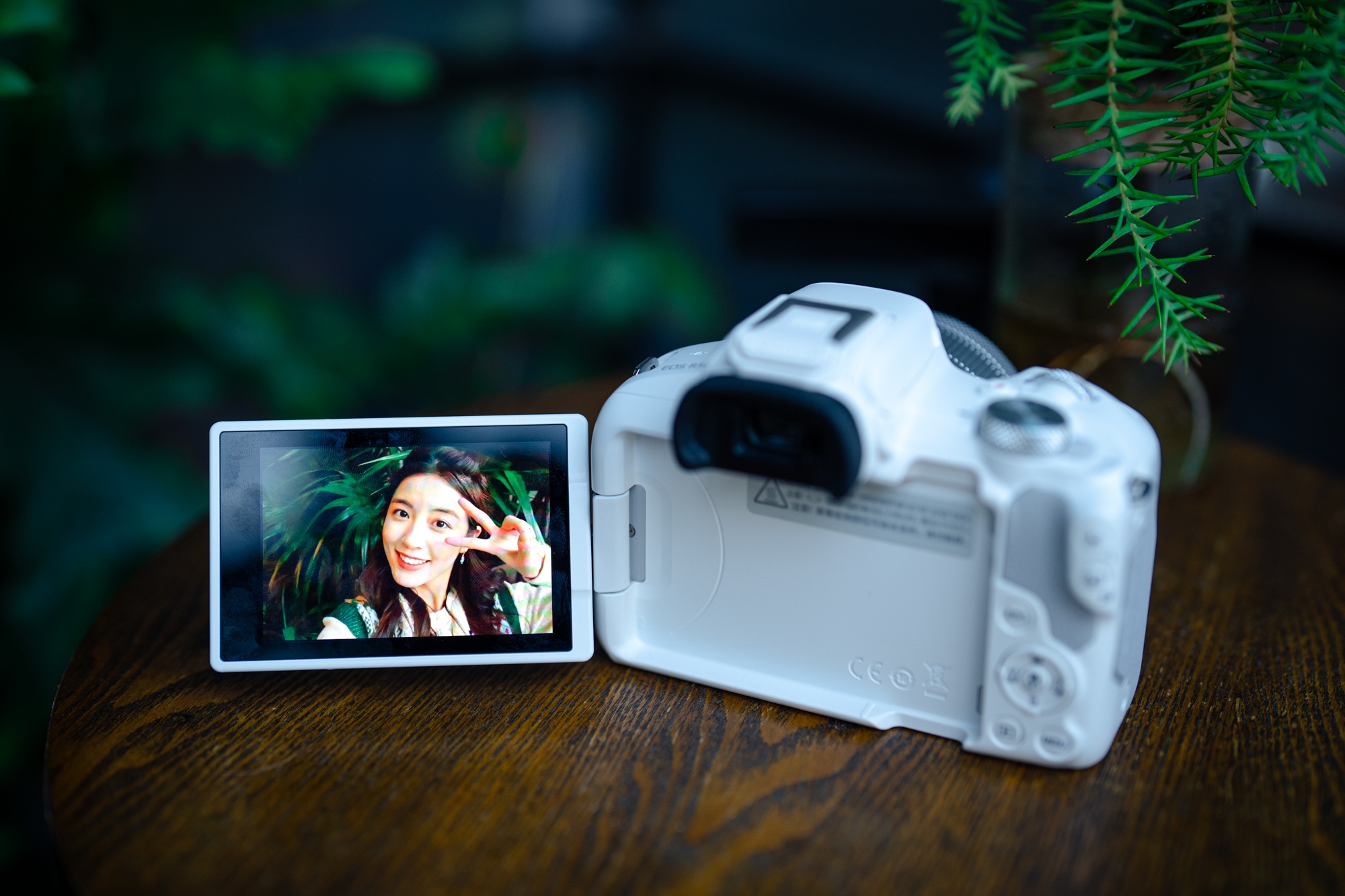 佳能eosr50深度评测,佳能eosr50优缺点