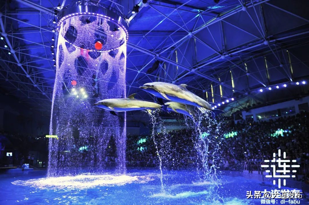 七天假期上哪玩儿,假期去哪儿玩这份攻略告诉你