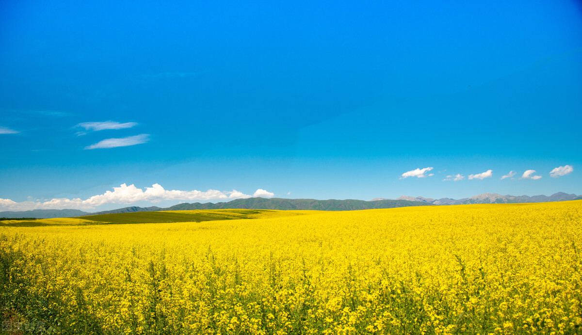 “狠”到“点子上”的女人，不吼不骂不怨赢到最后