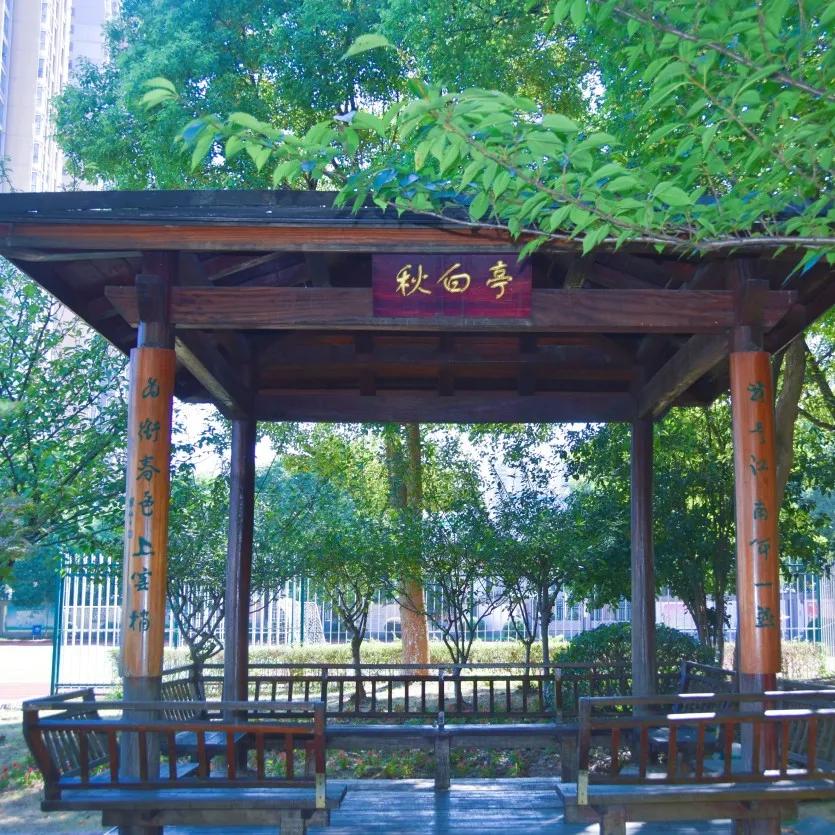 本期《师说》与您分享吴建亚校长与江溪小学的故事