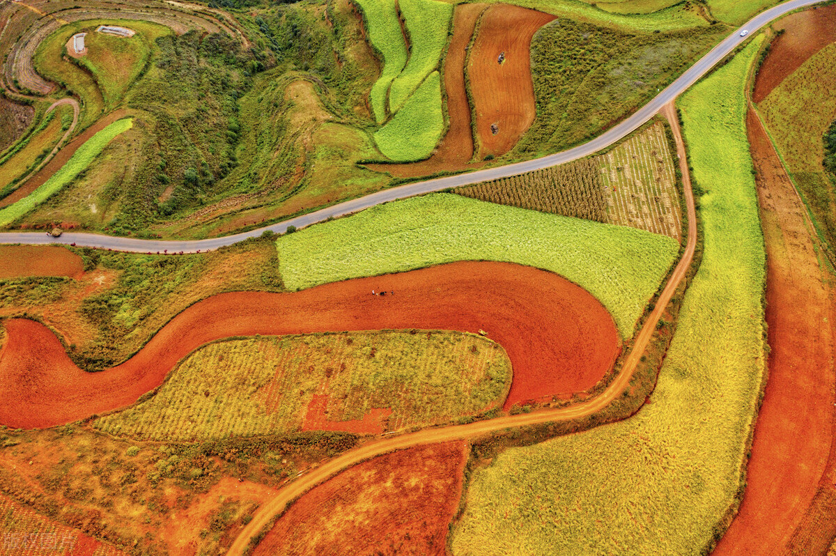 昆明及昆明周边景点,去昆明旅游攻略必去景点最新