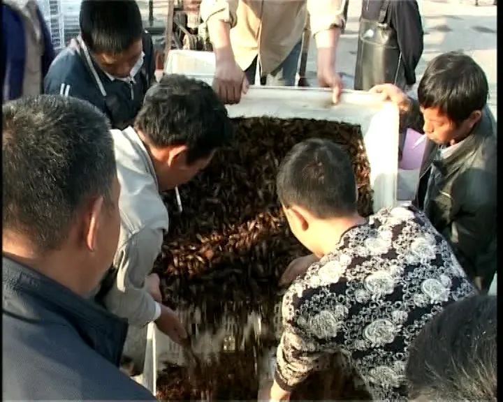 鄂州市泽林镇最新消息,鄂城区泽林镇泽林街