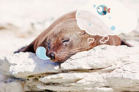 新西兰美得让人窒息的风景,新西兰的风景真的是太美了