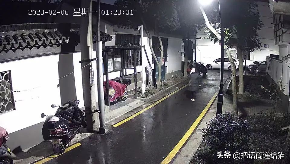 江苏偷猫事件,偷猫人被抓新闻