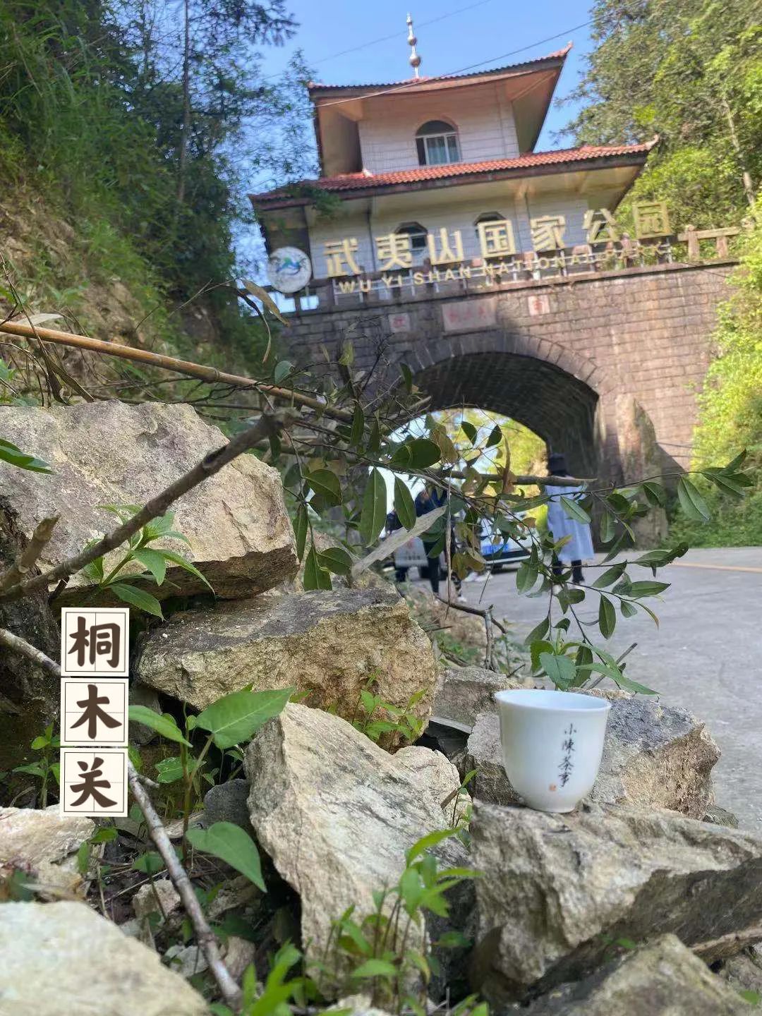 同样是金骏眉为啥桐木关的比较贵,金骏眉武夷山桐木关