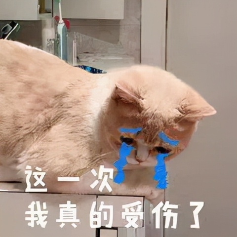 冬天运动减肥更有效吗,夏天减肥运动快速燃脂