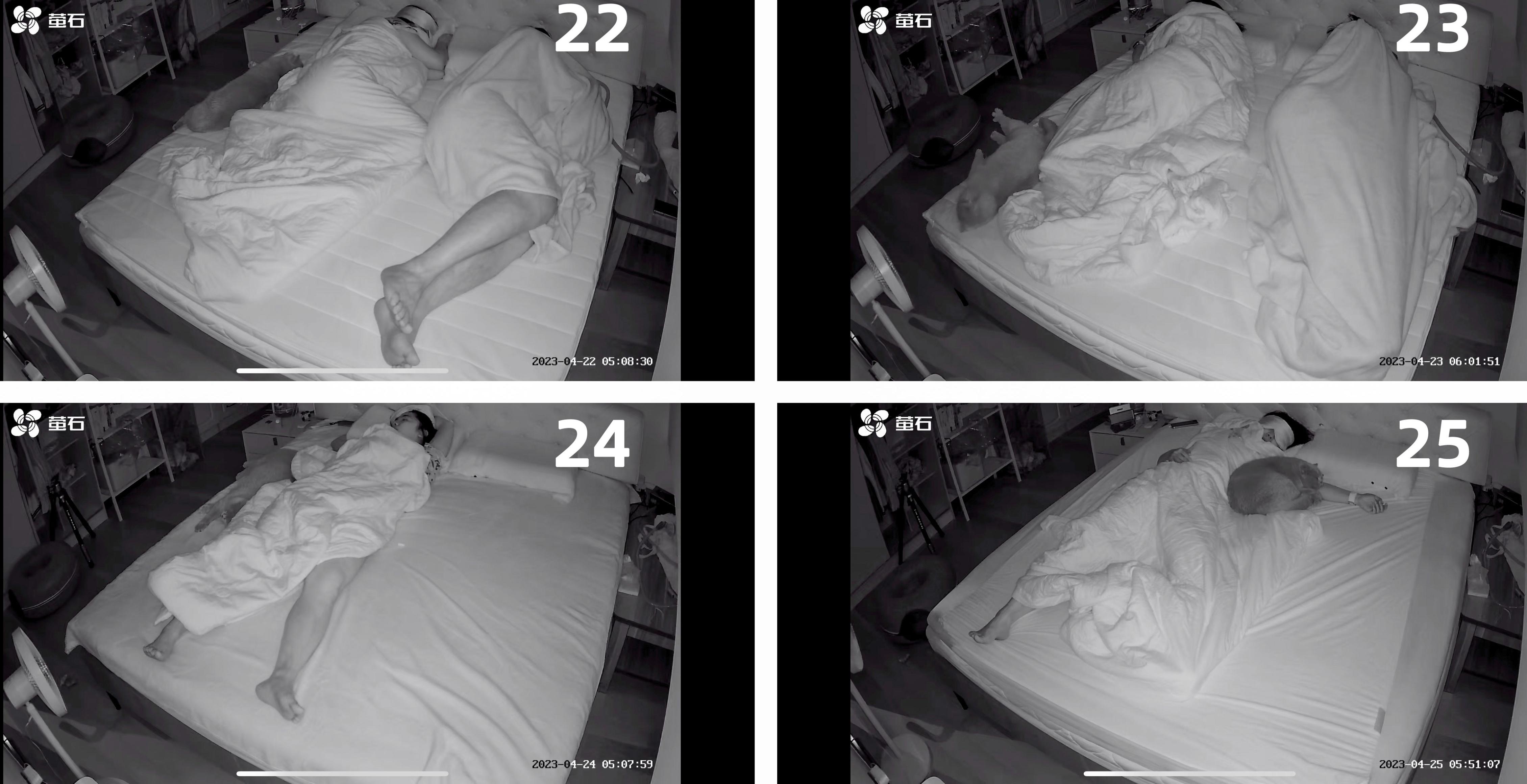 爱维福床垫什么档次,爱维福床垫价目表