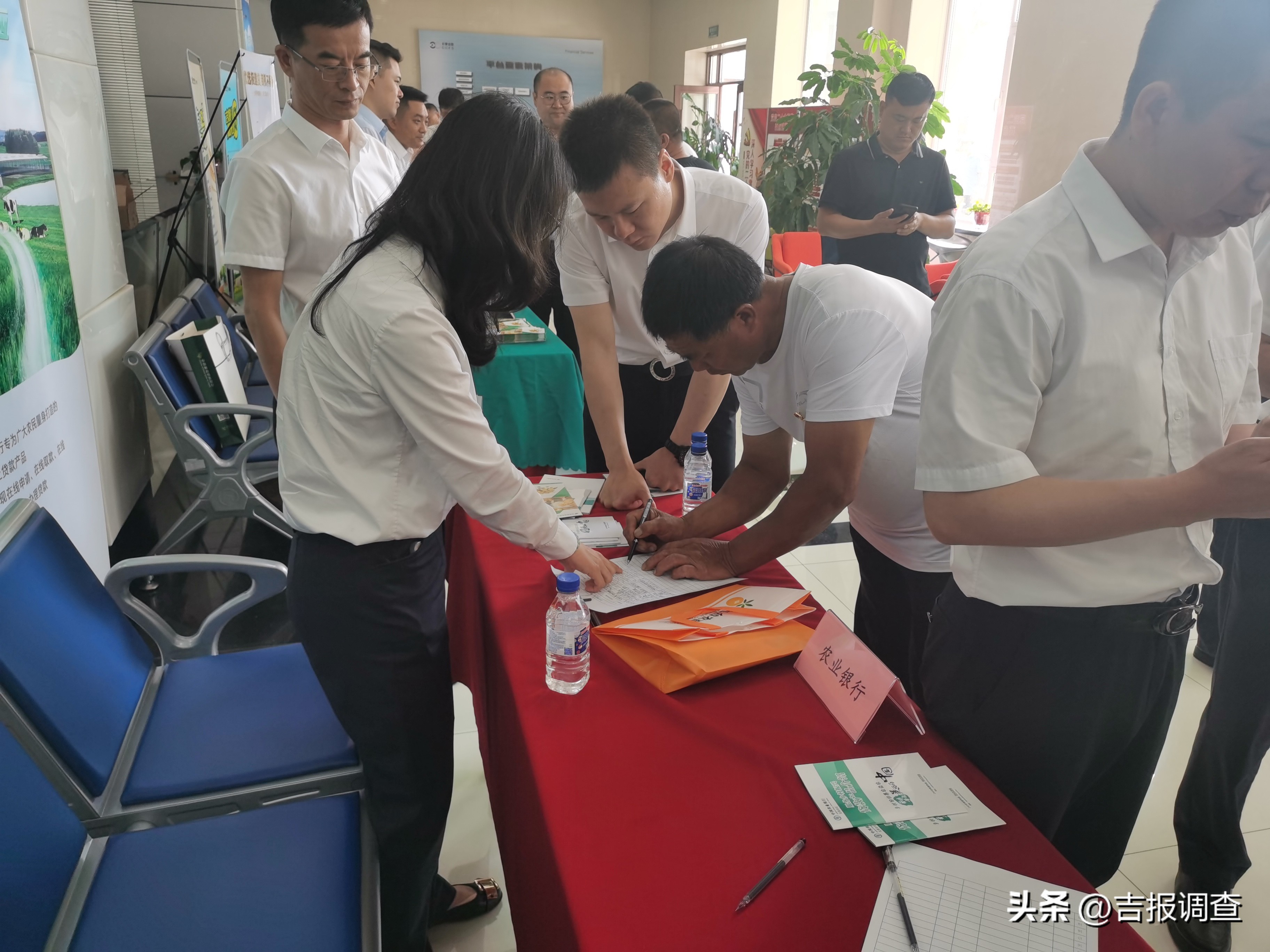 长春市肉牛产业政策,肉牛产业助力乡村振兴红红火火