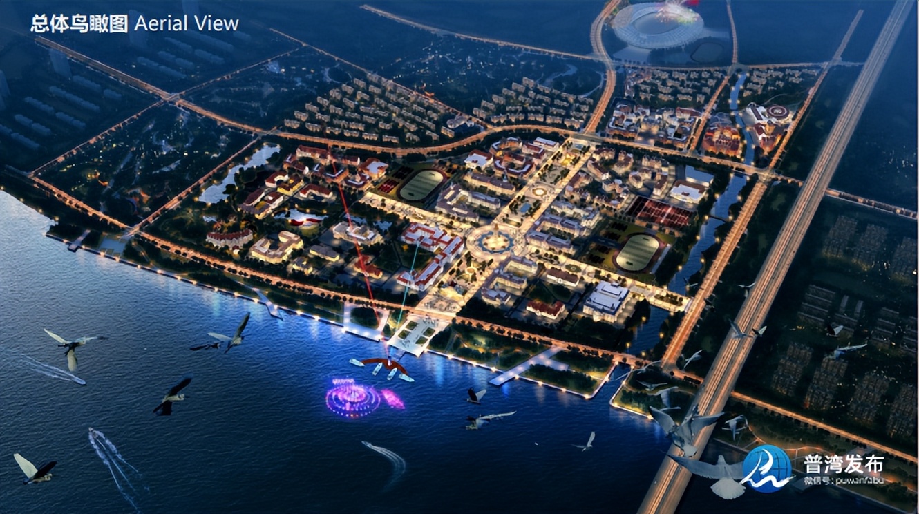 王守宇金普新区,王守宇金普新区党工委