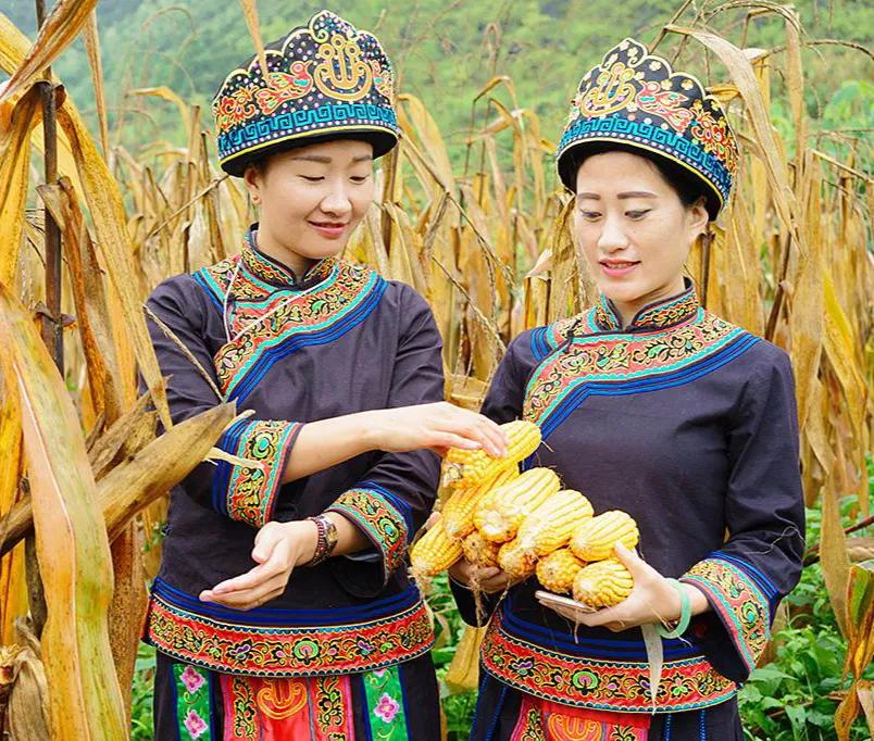 五十六个民族服饰视频,五十六个民族服饰完整版