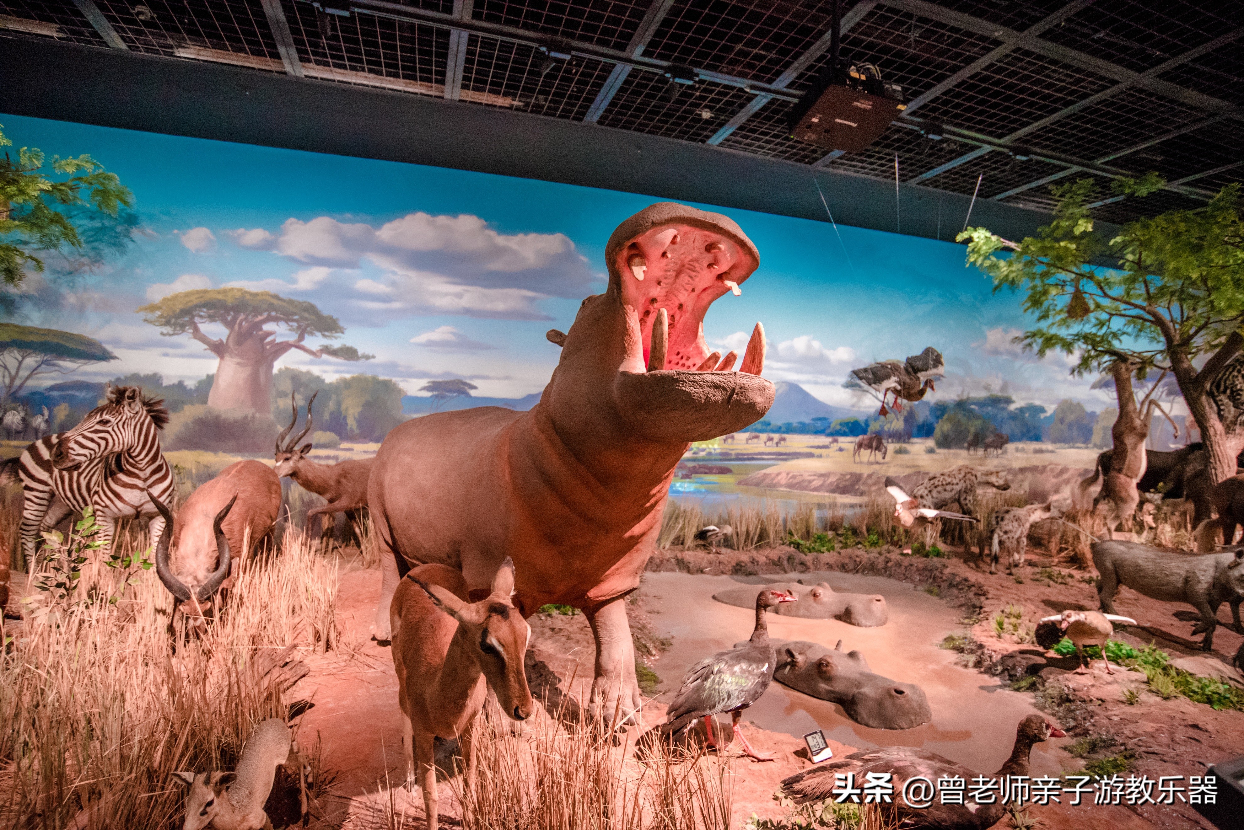 西安亲子游景点大全集,西安游玩攻略景点大全亲子