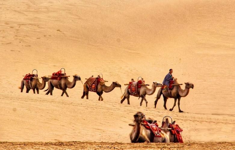 敦煌商业贸易制度的形成与发展