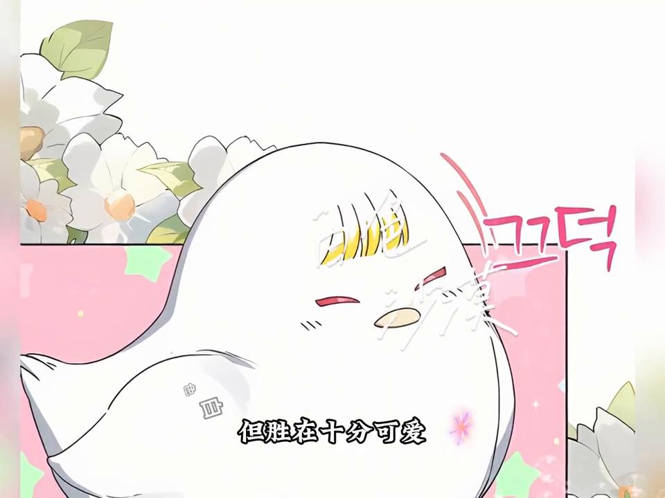 鸡蛋女主破壳，男主要失望了#我在抖音看漫画