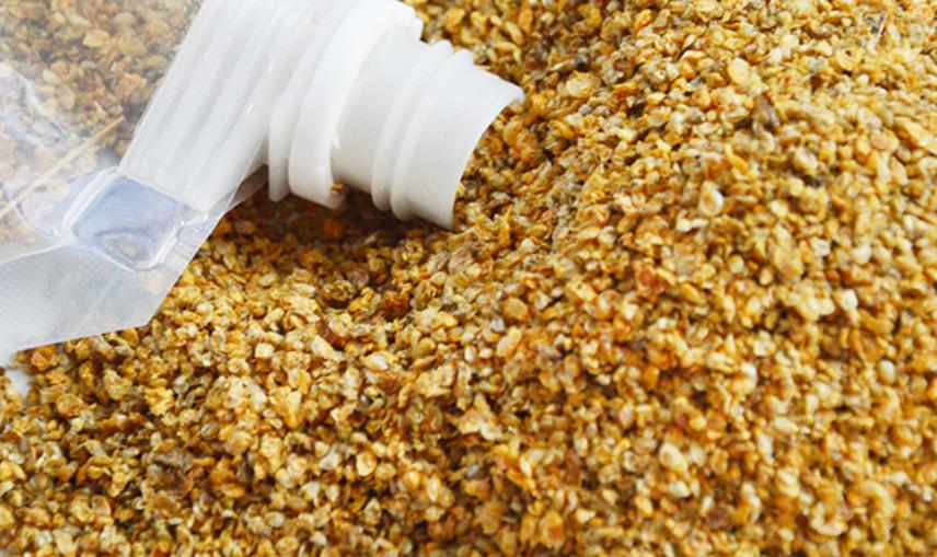 孔雀鱼怎样养会越养越多,为什么大孔雀鱼越养越少