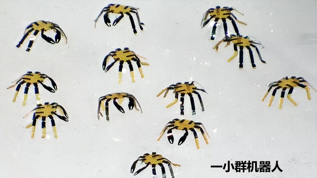 球状的螃蟹机器人,巨型螃蟹水下行走机器人