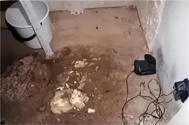 2007年捷克虐童案,捷克虐童案