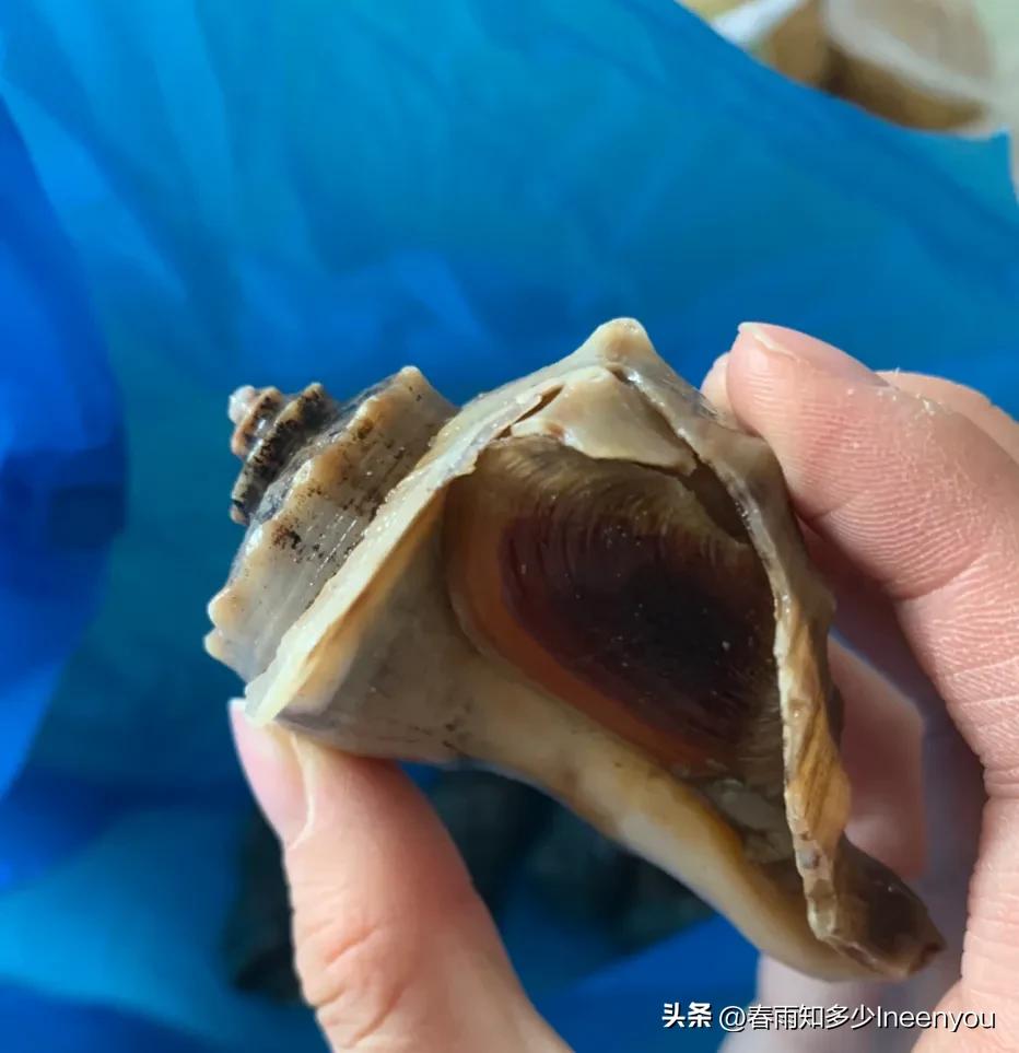 生活本就是不停的奔波,元旦将至忙忙碌碌