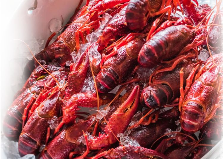 上海东湖美食餐馆,上海东湖路美食