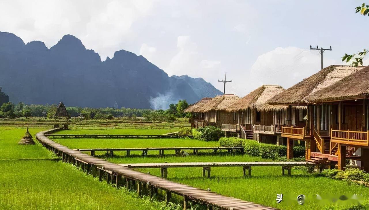 20大返乡创业有哪些政策,创业青年返乡创业有什么政策扶持