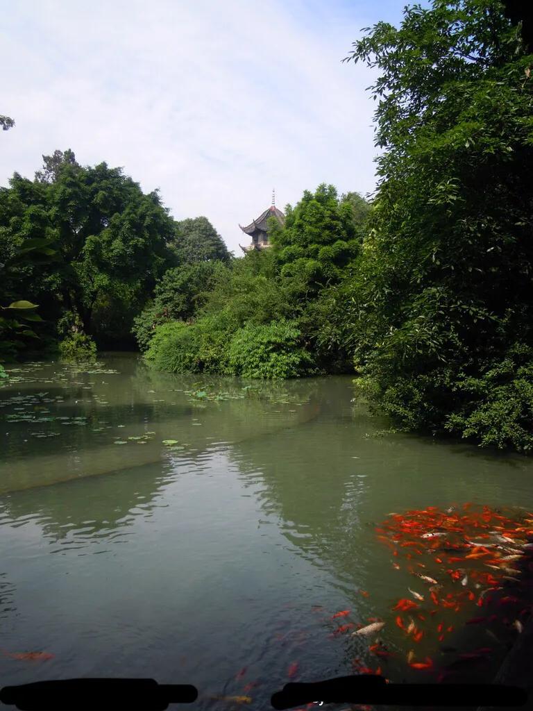 世界最美山水花鸟高清图片,精美山水花鸟图片大全