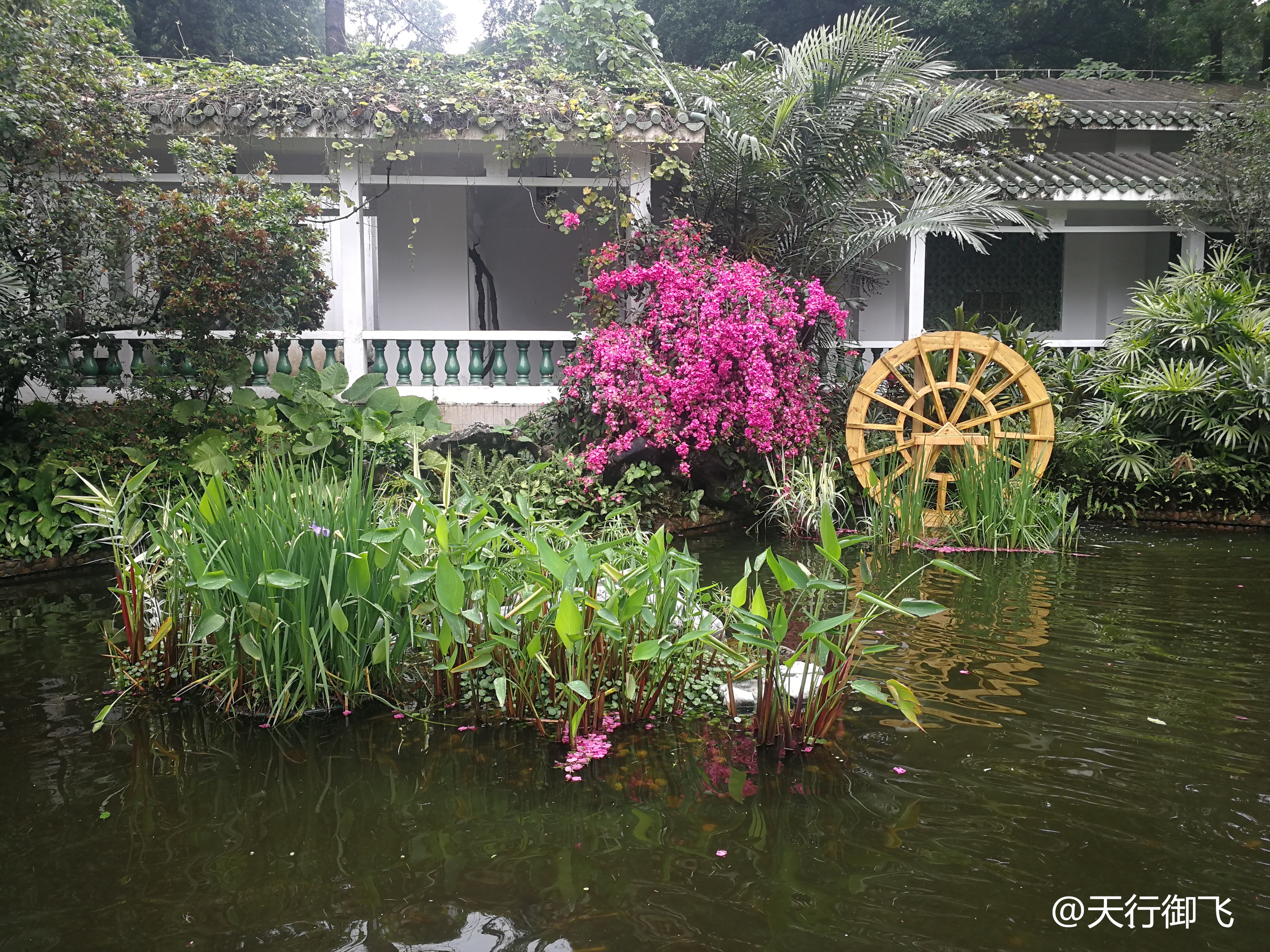 越秀公园游览最佳顺序,广州越秀公园旅游线路图